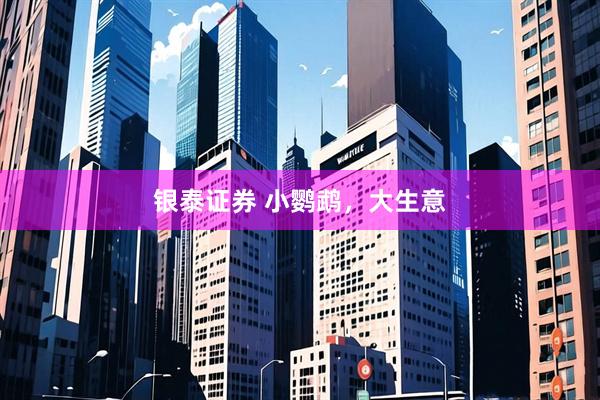 银泰证券 小鹦鹉，大生意